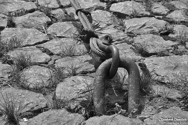 Bernhard Saalfeld - DSC03648 -1